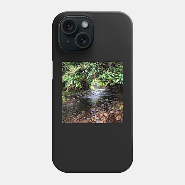 Quiet Mountain Stream Phone Case by Felicity-K