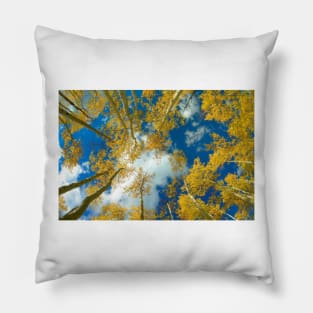 Looking Up At Blue Sky Through A Canopy Of Fall Colored Aspen Trees Pillow