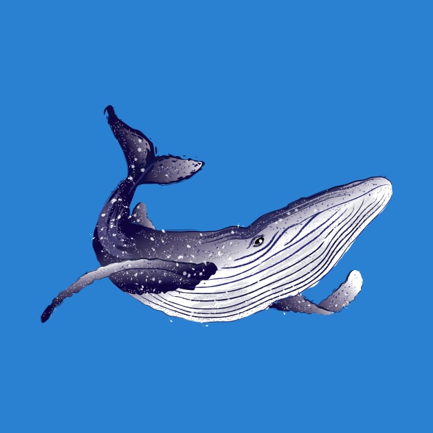 blue whale 4 by medo art 1