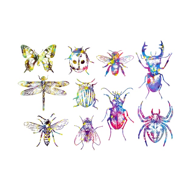 Insect Collection by erzebeth