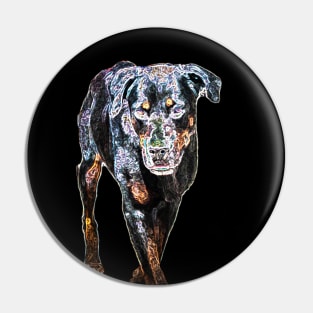 rottweiler Pin