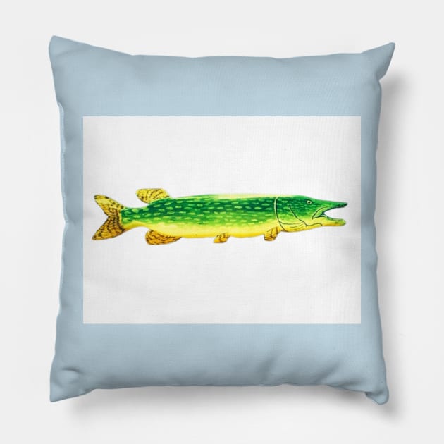 Northern pike fish Pillow by Matt Starr Fine Art