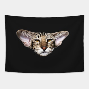 Oriental Cat Kitten Art Tapestry