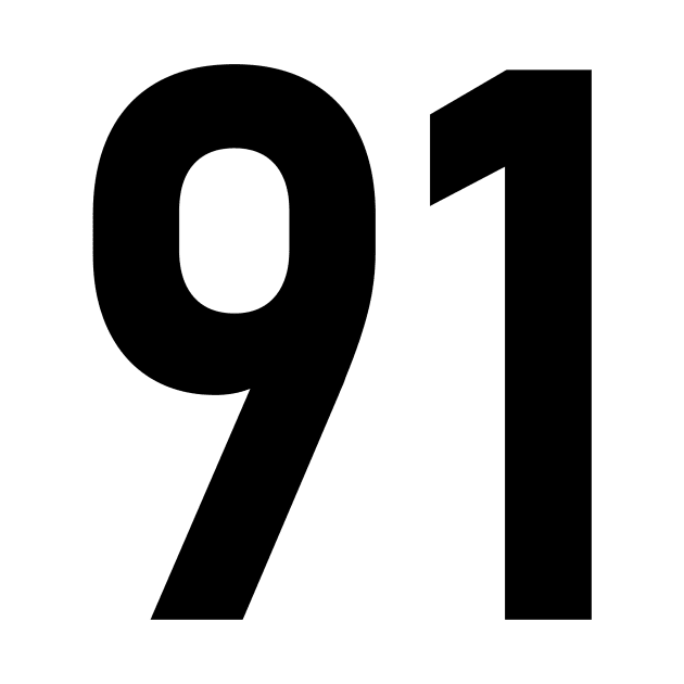 91 by TeamSN