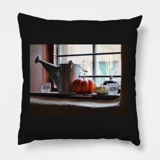 Adobe Window Autumn Still Life C1 Pillow