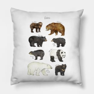 Bears Pillow