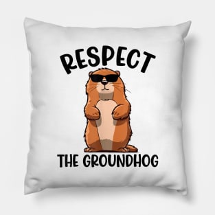 Respect The Groundhog Funny Woodchuck Groundhog Day Pillow