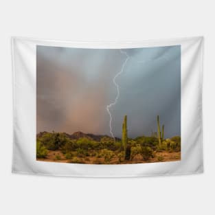 Saguaro National Park Tapestry