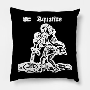 Aquarius Pillow