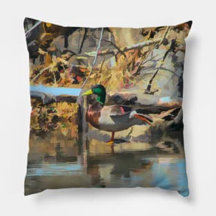 Mallard illustration Pillow