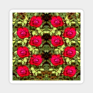 Red roses for those who love roses. Magnet