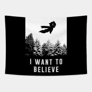 I want to Believe Astro Tapestry