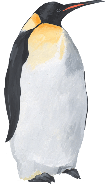 Penguin Kids T-Shirt by Das Brooklyn