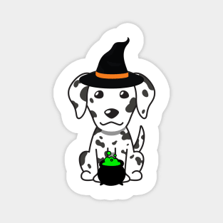 Cute dalmatian dog is a witch Magnet