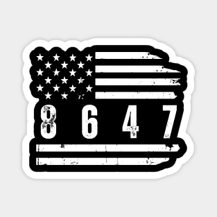 8647 Magnet