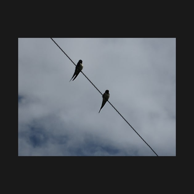 Birds On A Wire by MagsWilliamson