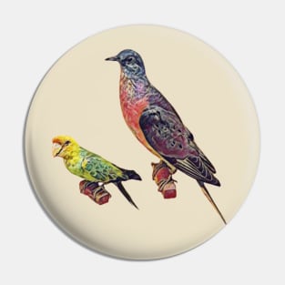 Extinct Birds (passenger pigeon and Carolina parakeet) Pin