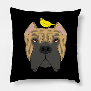 Canaries Pillow