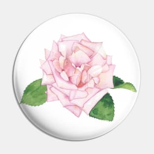 Pink Rose, floral watercolor painting Pin