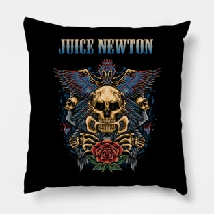 JUICE NEWTON VTG Pillow