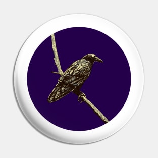 Raven in moonlight Pin