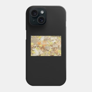 Slate Lichen Phone Case