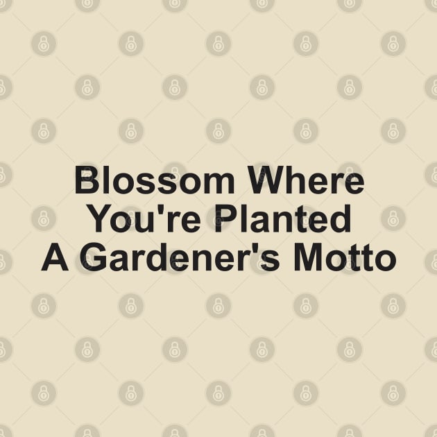 Blossom Where You're Planted: A Gardener's Motto by Qasim