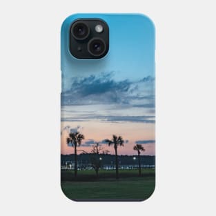 Palm Tree Oasis Phone Case