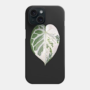 ANTHURIUM VARIEGATED Phone Case