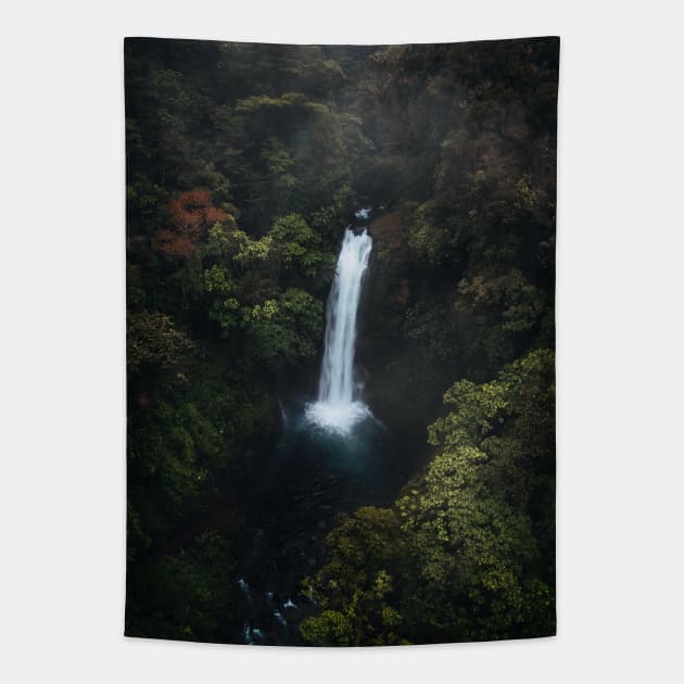 Waterfall Tapestry by withluke