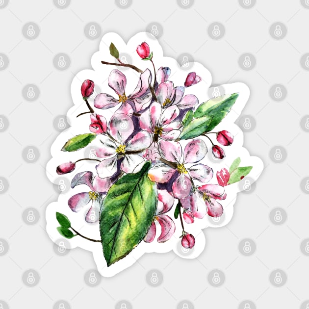 Apple Blossom Flowers Watercolor Painting Magnet by Ratna Arts