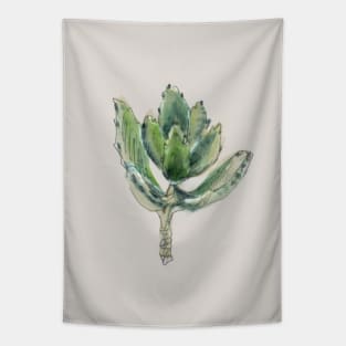 Kalanchoe Tomentosa Tapestry