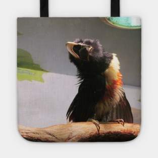 Bird photo. Tote