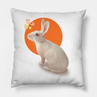 Rabbit Pillow