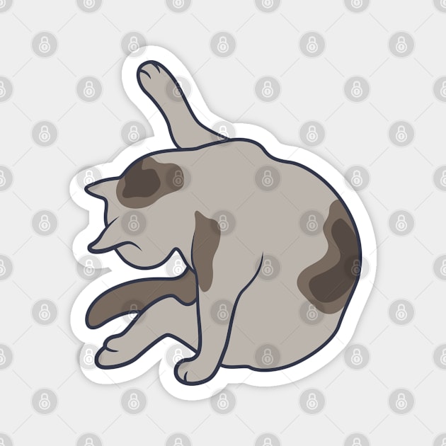 Keep it clean – this is all the cat mean (pose 1) Magnet by runcatrun