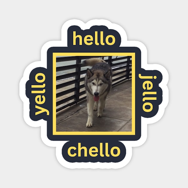 Husky Walking Yellow Hello Jello Chello Magnet by efgio