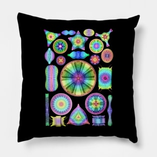 Ernst Haeckel Rainbow Diatoms Pillow