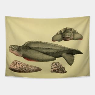 Leathery Turtle Tapestry
