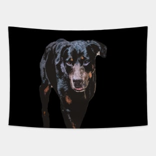 rottweiler Tapestry