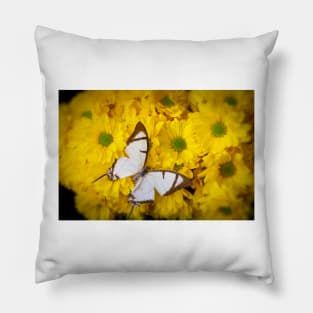 White Exotic Butterfly On Yellow Poms Pillow