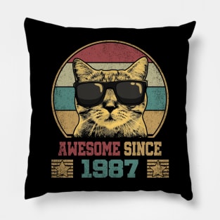 Awesome Since 1987 37th Birthday Gift Cat Lover Pillow