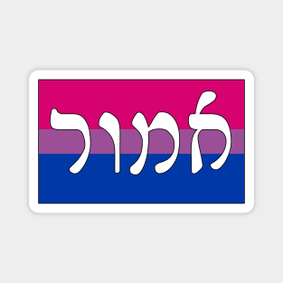 Amor - Love (Bi Pride Flag) Magnet