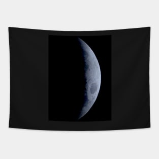 DARK SIDE OF PLANET B Tapestry