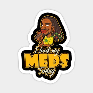 I Took My Meds Today Magnet