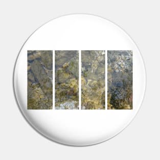 A static shot of two toads under the clear water of a mountain stream between rocks and stones; beautiful nature in a sunny day; no people around Pin