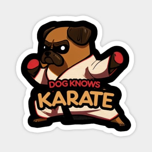 Dog Knows Karate Magnet