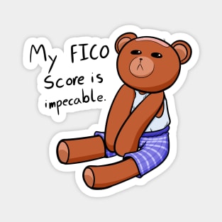 Impeccable FICO Score Magnet