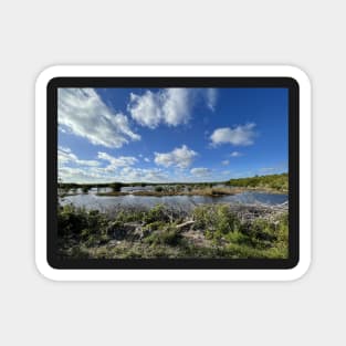 Florida Everglades Magnet