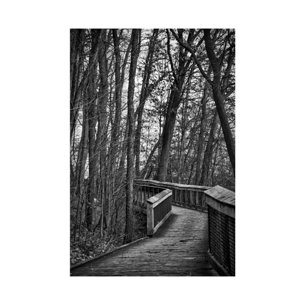 Wooden Walkway In The Woods by KirtTisdale