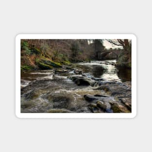 The River Almond Magnet